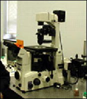Fluorescence Optical Microscope and Optical Tweezers